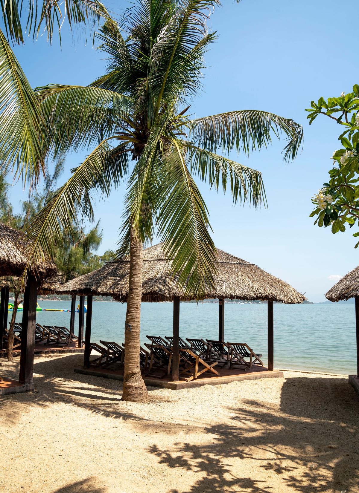 Thatched beach huts by the ocean